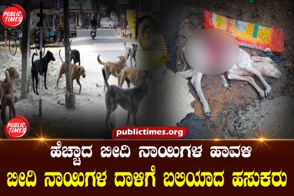  ಹೆಚ್ಚಾದ ಬೀದಿ ನಾಯಿಗಳ ಹಾವಳಿ : ಬೀದಿ ನಾಯಿಗಳ ದಾಳಿಗೆ ಬಲಿಯಾದ ಹಸುಕರು