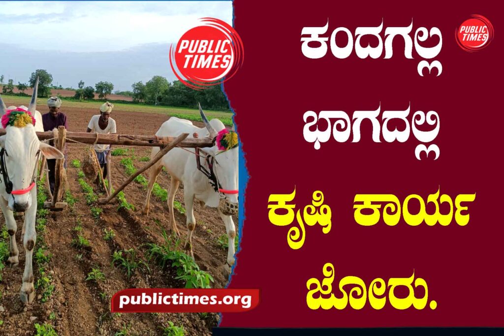 Agricultural work is in full swing in Kandagalla ಕಂದಗಲ್ಲ ಭಾಗದಲ್ಲಿ ಕೃಷಿ ಕಾರ್ಯ ಜೋರು