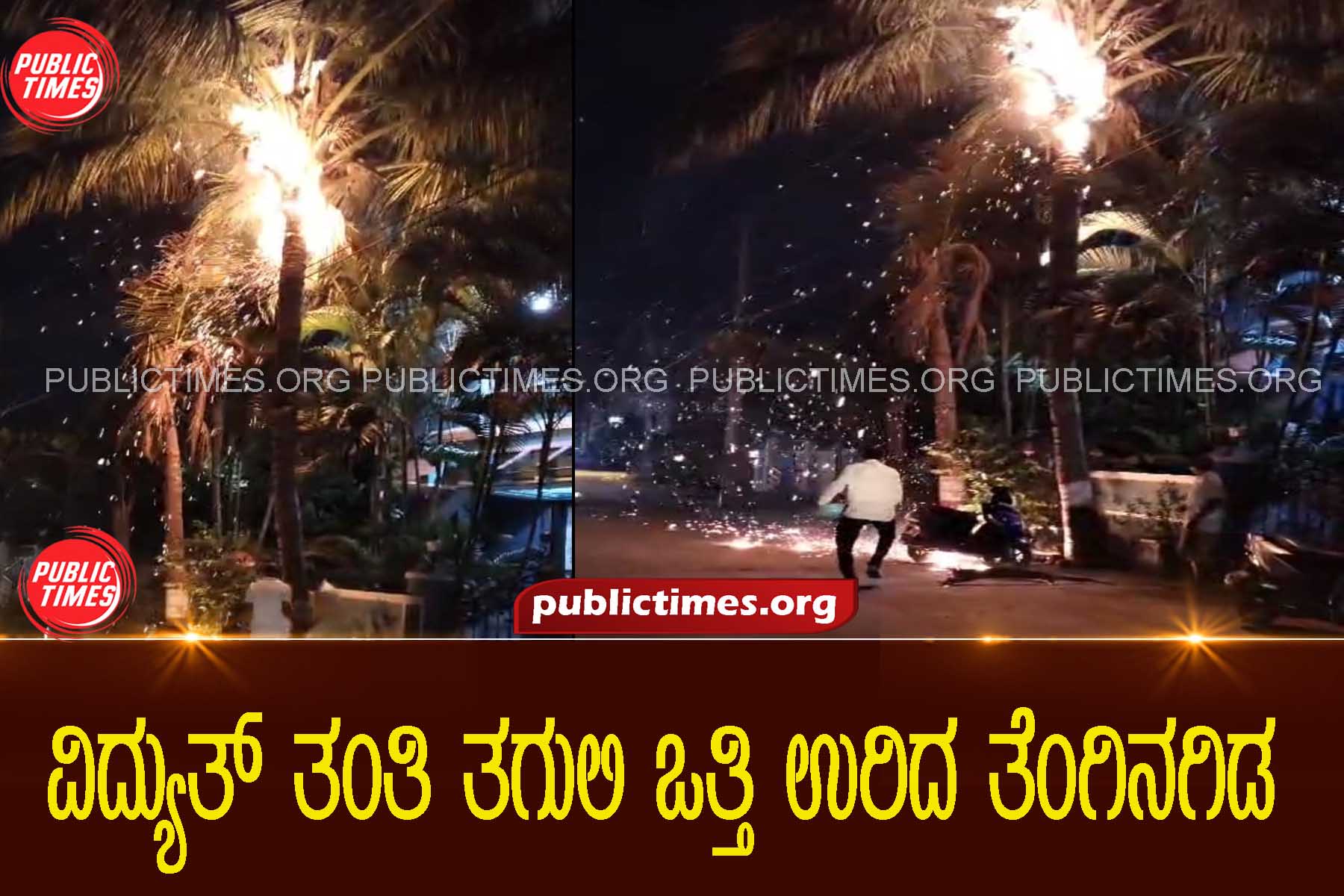 A coconut tree struck by electric wire gets fire