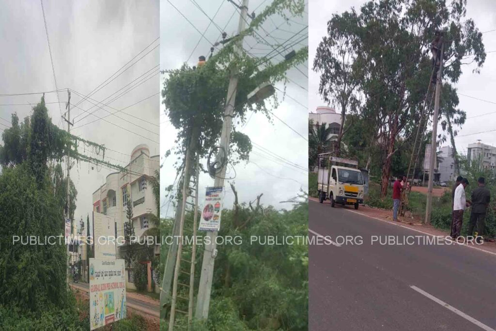  KPTCL staff clearing the cord wrapped around Falashruti electricity pole ಫಲಶೃತಿ ವಿದ್ಯುತ್ ಕಂಬಕ್ಕೆ ಸುತ್ತಿದ ಬಳ್ಳಿಯನ್ನು ತೆರವುಗೊಳಿಸಿದ ಕೆಪಿಟಿಸಿಎಲ್ ಸಿಬ್ಬಂದಿ