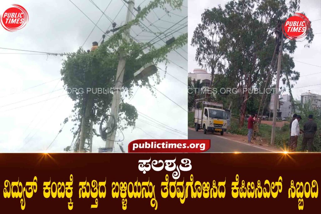  KPTCL staff clearing the cord wrapped around Falashruti electricity pole ಫಲಶೃತಿ ವಿದ್ಯುತ್ ಕಂಬಕ್ಕೆ ಸುತ್ತಿದ ಬಳ್ಳಿಯನ್ನು ತೆರವುಗೊಳಿಸಿದ ಕೆಪಿಟಿಸಿಎಲ್ ಸಿಬ್ಬಂದಿ