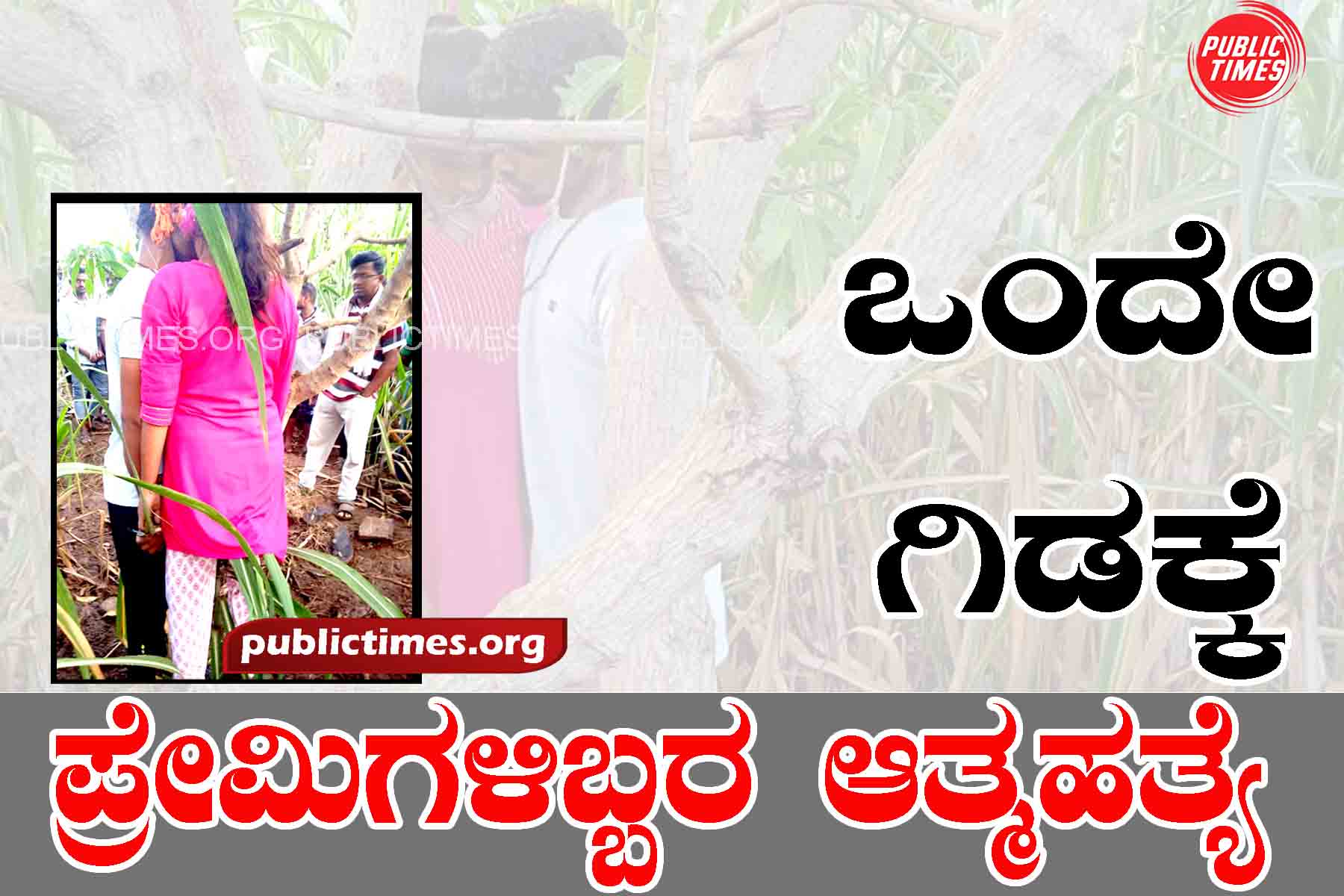 Suicide of two lovers to the same plant ಒಂದೇ ಗಿಡಕ್ಕೆ ಪ್ರೇಮಿಗಳಿಬ್ಬರ ಆತ್ಮಹತ್ಯೆ