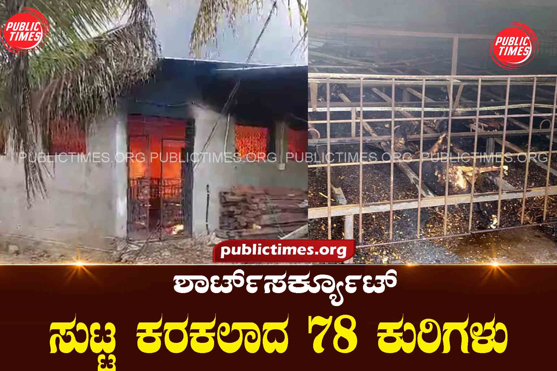 shortcircuit 78 sheep burnt by shortcircuit ಶಾರ್ಟ್ ಸರ್ಕ್ಯೂಟ್ ಸುಟ್ಟ ಕರಕಲಾದ ೭೮ ಕುರಿಗಳು