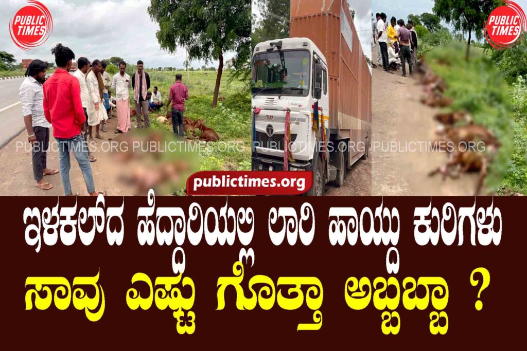 Do you know how many sheep were killed by a lorry on the highway of Ilakal? ಇಳಕಲ್‌ದ ಹೆದ್ದಾರಿಯಲ್ಲಿ ಲಾರಿ ಹಾಯ್ದು ಕುರಿಗಳು ಸಾವು ಎಷ್ಟು ಗೊತ್ತಾ ಅಬ್ಬಬ್ಬಾ ?