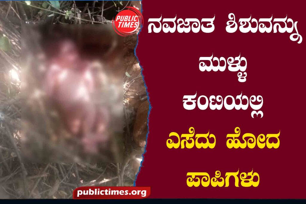  Sinners who threw the new born baby in the thornbush ನವಜಾತ ಶಿಶುವನ್ನು ಮುಳ್ಳುಕಂಟಿಯಲ್ಲಿ ಎಸೆದು ಹೋದ ಪಾಪಿಗಳು