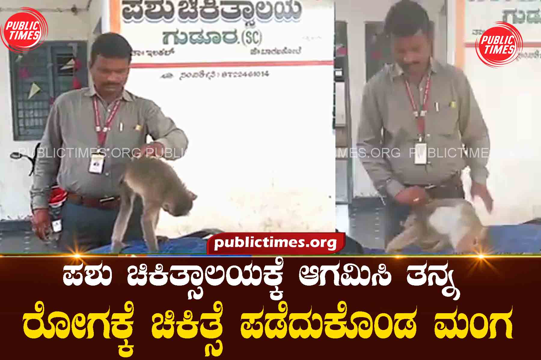 A monkey arrives at a veterinary clinic and receives treatment for its illness. ಪಶು ಚಿಕಿತ್ಸಾಲಯಕ್ಕೆ ಆಗಮಿಸಿ ತನ್ನ ರೋಗಕ್ಕೆ ಚಿಕಿತ್ಸೆ ಪಡೆದುಕೊಂಡ ಮಂಗ
